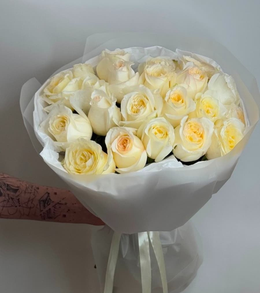 Розы Эквадор 23 штуки лимонные